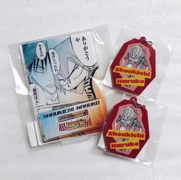 새상품 약한 영웅 페달 나루코 쇼키치 아크릴 스탠드 니가타 복권