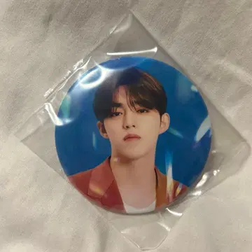 에스쿱스 be the sun 캔뱃지