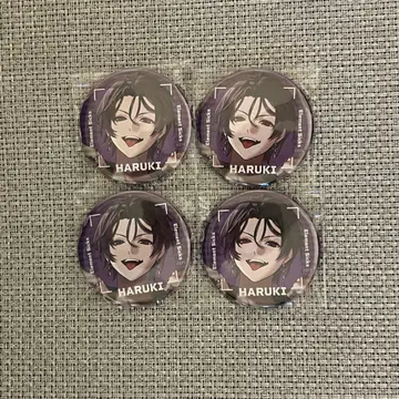 Element Sicks EL6 봄희 캔뱃지 RWY