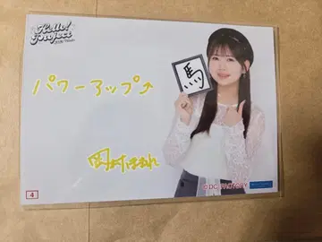 하로프로 컬렉션 브로마이드