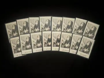 비바 렌 쿄야 묶음 판매