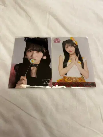 AKB48 사토 키세 브로마이드 대의상전 샴고양이 동경의 의상