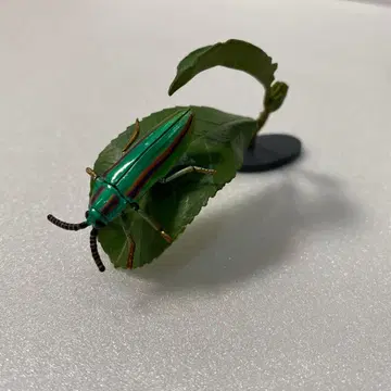 야마토 풍뎅이 원색 일본 곤충 도감 1 유진