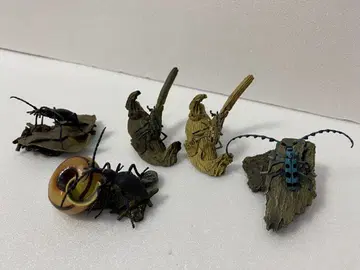 유진 리얼 곤충 피규어 5체 세트