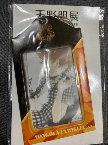 가정교사 히트맨 REBORN! 카드 홀더 사와다 츠나요시