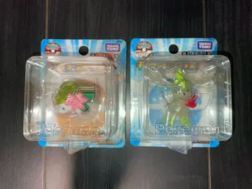 극장 한정판 몽코레 얼음 하늘의 꽃다발 묶음 판매