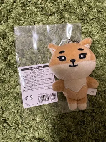 day6 데니멀즈 ke 백참 봉제인형 youngk