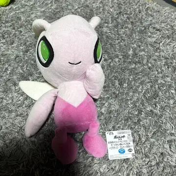 세레비 봉제 인형 약 20cm 택 포함