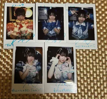 chuLa 하마치히요 사인 댓글 폴라로이드