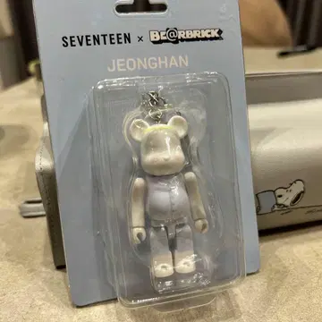 SEVENTEEN x BE@RBRICK 정한