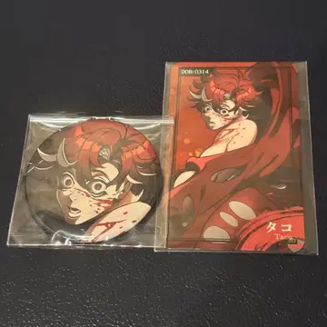 휴먼버그 대학 카페 타코