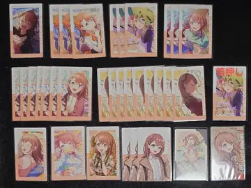 하나사토 미노리 에피카 세트