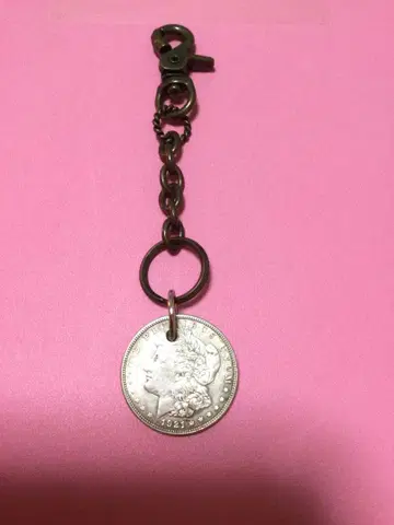 은화 달린 실버 키링