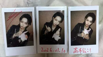 영[Hz] TEIKA 폴라로이드