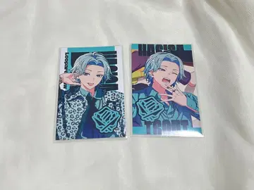 니지산지 DLNM 다루네무 나기사 트라웃 폴라로이드 레어