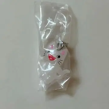 논탄 메지루시 액세서리