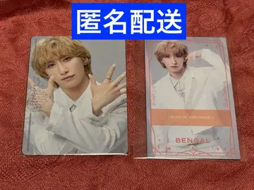 캐터리아 벵갈 콜라보 네일씰 구매 혜택 트레이딩 카드 명함풍 카드