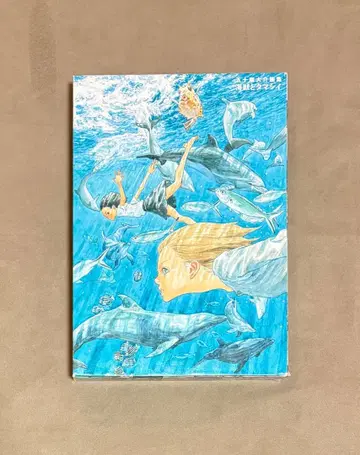 초판 이가라시 다이스케 화집 해수와 타마시이