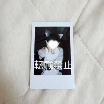 러브식 타로 폴라로이드