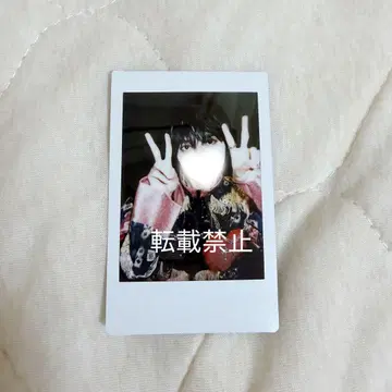 러브시크 타로 폴라로이드