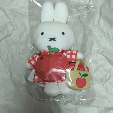 사과 에이프런 마스코트 zakka 페스티벌