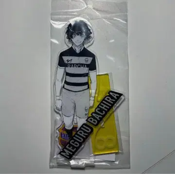 블루 록 전시회 아크릴 스탠드 히바리 레이