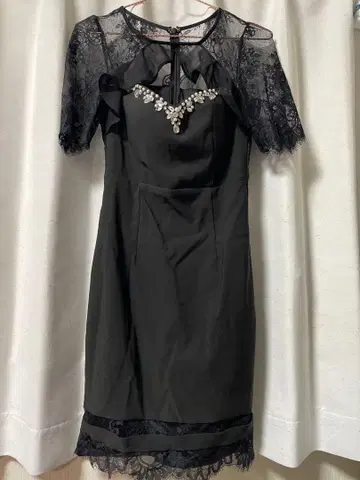 레이스 소매 비쥬 장식 타이트 드레스