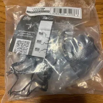 생물대도감 사슴벌레 08 파라완 넓적사슴벌레