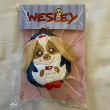 [ 새상품 ] GMMTV STARLYMPICS 인형 키체인 Wesley