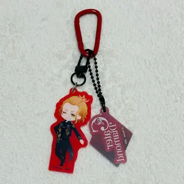 트위스테 브레이징 주얼 브레쥬 SD 아크릴 참 케이트