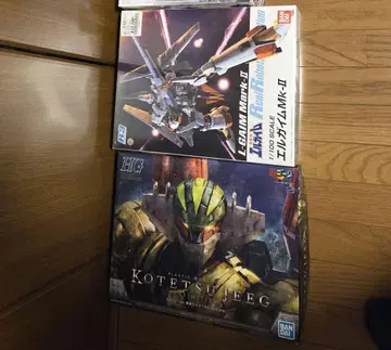 R3 엘가임 HG 강철 지크 프라모델 2종 세트