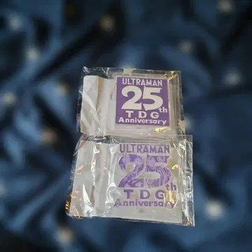 TDG 25th Anniversary 아크릴 로고 2점