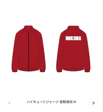 하이큐!! 네코마 고교 저지 팬츠 세트 M 10주년