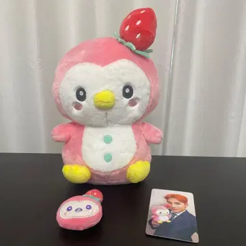 JO1 뽀뽀 봉제 인형 배지 2종 세트