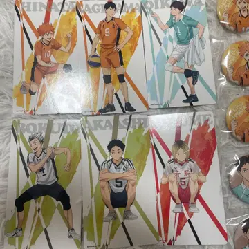 하이큐 캔 배지