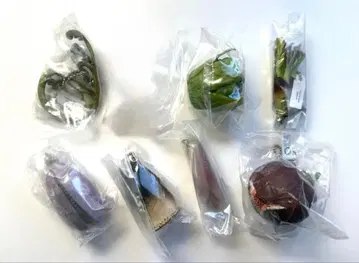 네이처 테크니컬러 산나물 볼체인 마스코트 7종 세트