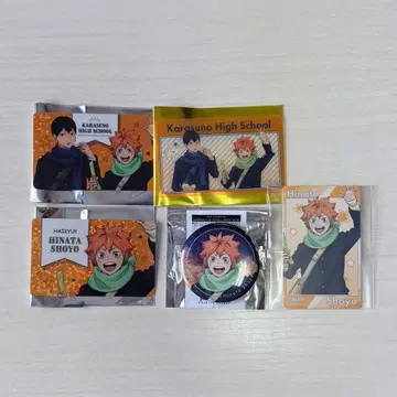 하이큐 코스모 월드 히나타 쇼요