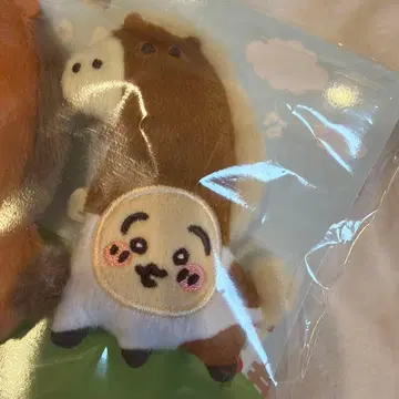 치이카와 인형 배지 토끼 말