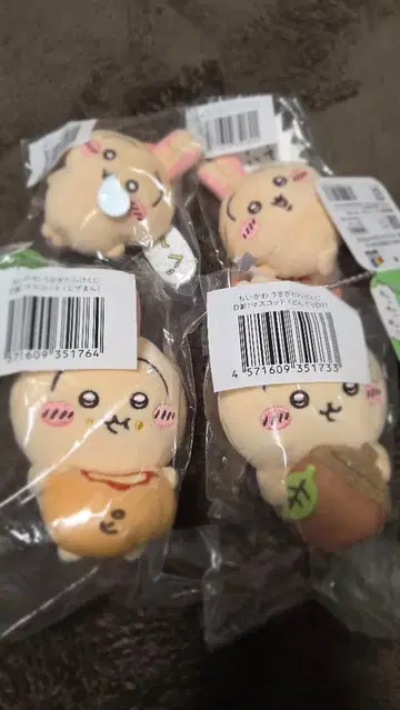 치이카와 토끼 토끼투성이 복권