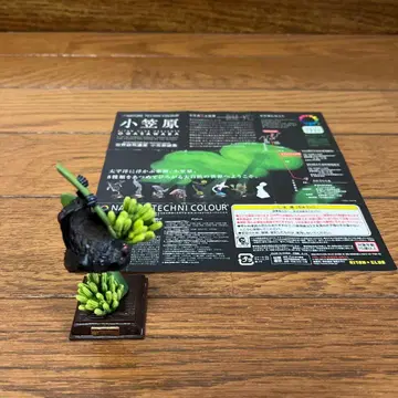 오가사와라 오가사와라오오박쥐 키탄클럽 네이처 테크니컬러