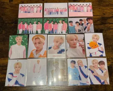 SEVENTEEN HARU 정한 트레이딩 카드 컴프 세부치 세트