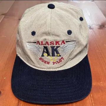 데드스탁 USA 기업 로고 투톤 캡 3면 베이지 네이비