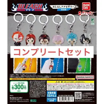 BLEACH 메지루시 액세서리 파면편