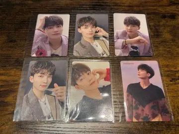 정한 흩날리는 꽃잎 컴프 세트 SEVENTEEN 세부치 트레이딩 카드