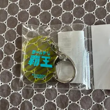 아치코치 오드리 아크릴 키링