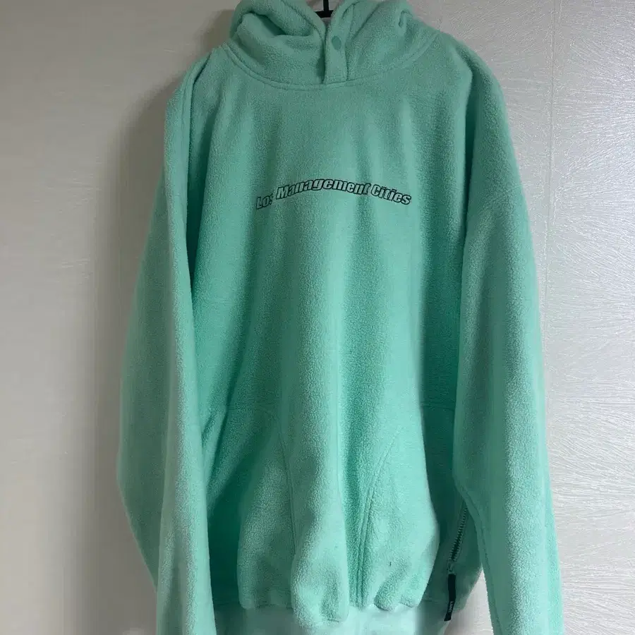 Bmc LOVE hoodie (mint) #베이비메탈클럽,#베메클,#BMC on Bunjang