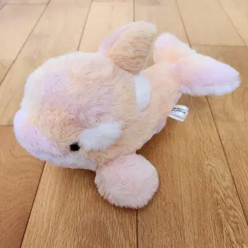 나고야항 수족관 범고래 봉제 인형 레인보우