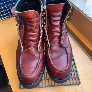 레드윙 204 슈퍼 밑창