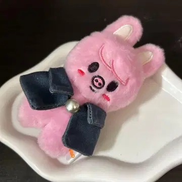 straykids 창빈 돼끼 묶음 판매