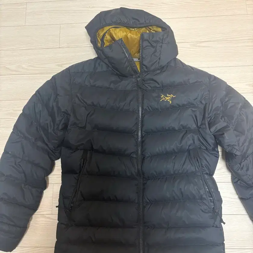 Arc'teryx Thorium AR Hoody 24k Size S | Bunjang Global